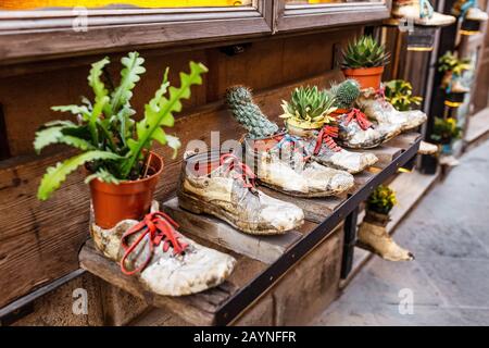 Vecchi stivali utilizzati come vasi di fiori creativi divertente Foto Stock