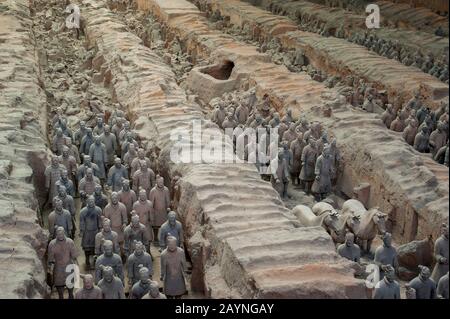 Panoramica dell'Armata di Terracotta nel Museo dei Guerrieri e dei cavalli di Terracotta, che espone la collezione di sculture in terracotta raffiguranti il Th Foto Stock