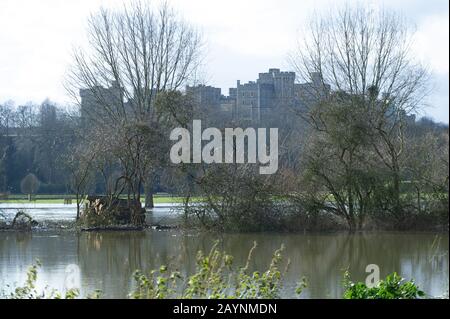 Inondazioni, Home Park, Windsor, Berkshire, Regno Unito. 10th febbraio 2014. Il fiume Tamigi scoppia la sua banca a seguito di forti piogge e inondazioni giocando campi utilizzati dal Windsor Rugby Club. Credito: Maureen Mclean/Alamy Foto Stock