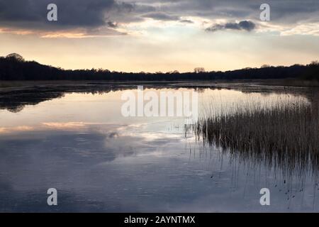 Gelido guardando il tramonto invernale ai piedi delle Eels, Ormesby. Foto Stock