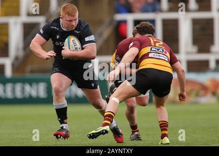 Newcastle, Regno Unito. 16th Feb, 2020. Newcastle UPON TYNE, INGHILTERRA - FEBBRAIO 16TH Trevor Davison di Newcastle Falcons sulla carica durante la partita Greene King IPA Championship tra Newcastle Falcons e Cornish Pirates a Kingston Park, Newcastle Domenica 16th Febbraio 2020. (Credit: Chris Lishman | Mi News) Credit: Mi News & Sport /Alamy Live News Foto Stock