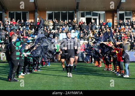 Newcastle, Regno Unito. 16th Feb, 2020. Newcastle UPON TYNE, INGHILTERRA - FEBBRAIO 16TH George McGuigan di Newcastle Falcons porta la sua parte per la partita Greene King IPA Championship tra Newcastle Falcons e Cornish Pirates a Kingston Park, Newcastle Domenica 16th Febbraio 2020. (Credit: Chris Lishman | Mi News) Credit: Mi News & Sport /Alamy Live News Foto Stock