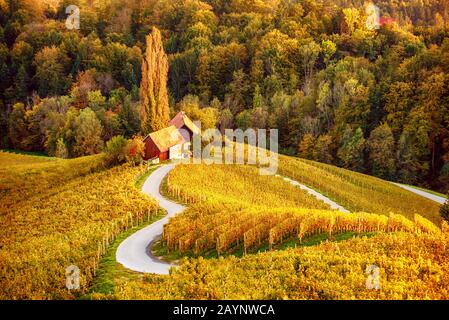 Famoso a forma di cuore la strada del vino in Slovenia, vista da Spicnik vicino a Maribor. Paesaggio naturale sfondo agricolo. Foto Stock