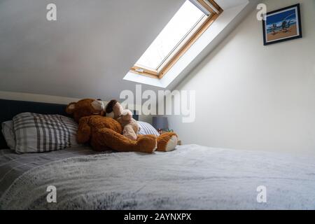 Una camera da letto moderna illuminata da un lucernario con due orsacchiotti che si accoccolano sul letto. Foto Stock