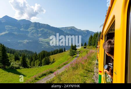 Splendida vista sulle Alpi svizzere sul treno giallo della ferrovia Wengernalp da Wengen a Kleine Scheidegg con le cime dello Jungfraujoch dietro, Svizzera. Foto Stock