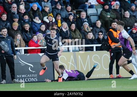 Newcastle, Regno Unito. 15th gennaio 2019. Newcastle UPON TYNE, INGHILTERRA - FEBBRAIO 16TH Adam Radwan di Newcastle Falcons ha sgomato una sfida sulla linea di contatto durante la partita Greene King IPA Championship tra Newcastle Falcons e Cornish Pirates a Kingston Park, Newcastle Domenica 16th Febbraio 2020. (Credit: Chris Lishman | Mi News) Credit: Mi News & Sport /Alamy Live News Foto Stock