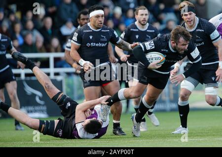 Newcastle, Regno Unito. 15th gennaio 2019. Newcastle UPON TYNE, INGHILTERRA - FEBBRAIO 16TH George McGuigan di Newcastle Falcons cerca di rompere un affronto durante la partita del Greene King IPA Championship tra Newcastle Falcons e Cornish Pirates a Kingston Park, Newcastle Domenica 16th Febbraio 2020. (Credit: Chris Lishman | Mi News) Credit: Mi News & Sport /Alamy Live News Foto Stock