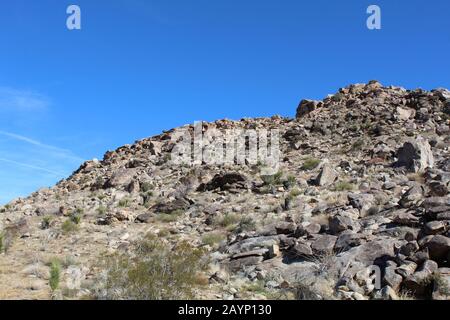 Le colline nel deserto del Mojave meridionale creano differenze di composizione geografica, allevando la biodiversità per le comunità di piante autoctone in Joshua Tree NP. Foto Stock