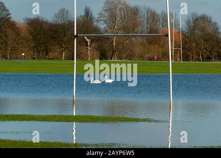 Flohing, Windsor, Berkshire, Regno Unito. 16th febbraio 2014. Il fiume Tamigi scoppia le sue banche a seguito di forti piogge e inondazioni Home Park campi di gioco utilizzati dal Windsor Rugby Club. Credito: Maureen Mclean/Alamy Foto Stock