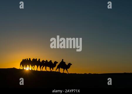 Un herder mongolo sta cavalcando con i cammelli del Bactrian al tramonto (sunburst) sulle dune di sabbia di Hongoryn Els nel deserto di Gobi, Gobi Gurvansaikhan National Foto Stock