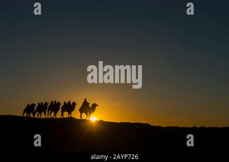 Un herder mongolo sta cavalcando con i cammelli del Bactrian al tramonto (sunburst) sulle dune di sabbia di Hongoryn Els nel deserto di Gobi, Gobi Gurvansaikhan National Foto Stock