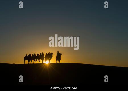 Un herder mongolo sta cavalcando con i cammelli del Bactrian al tramonto (sunburst) sulle dune di sabbia di Hongoryn Els nel deserto di Gobi, Gobi Gurvansaikhan National Foto Stock