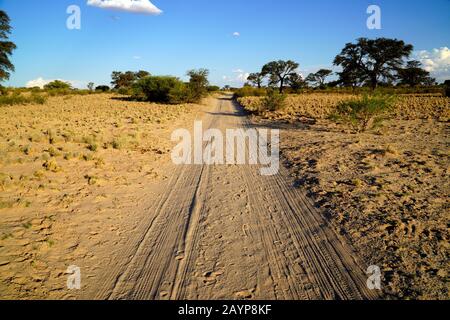 Lunga strada sterrata nell'aperto Savannah, Africa Foto Stock