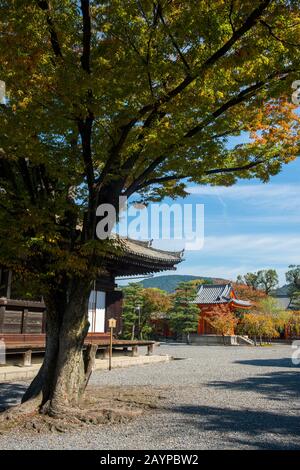 Il Tempio di Sanjusangendo con il campanile sullo sfondo a Kyoto, Giappone, che ha una grande sala contenente 1.001 figure di Kannon scolpito nel Foto Stock