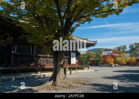 Il Tempio di Sanjusangendo con il campanile sullo sfondo a Kyoto, Giappone, che ha una grande sala contenente 1.001 figure di Kannon scolpito nel Foto Stock