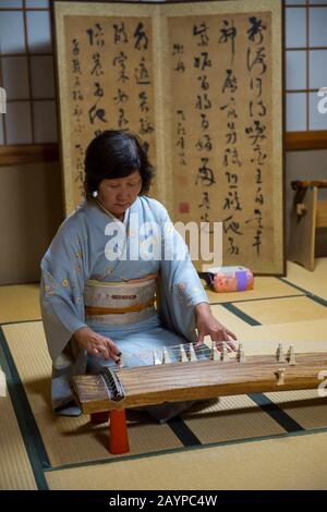 Una donna giapponese in un kimono a Kyoto, in Giappone, sta suonando il koto, un tradizionale strumento musicale a corde giapponese derivato dallo zheng cinese. Foto Stock