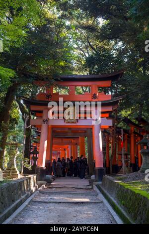 Un passaggio con porte tori al santuario di Fushimi Inari Taisha a Kyoto, Giappone, che sono donati da un business giapponese nella speranza di un buon business. Foto Stock