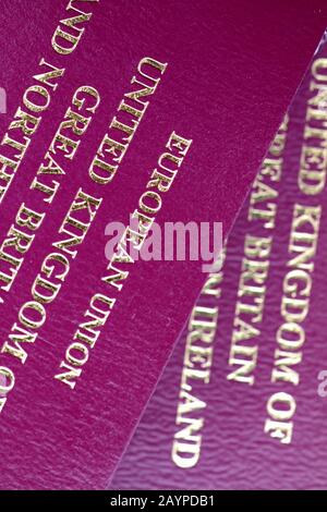 Passaporto Britannico/Europeo Foto Stock