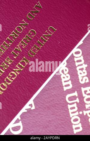 Passaporto Britannico/Europeo Foto Stock