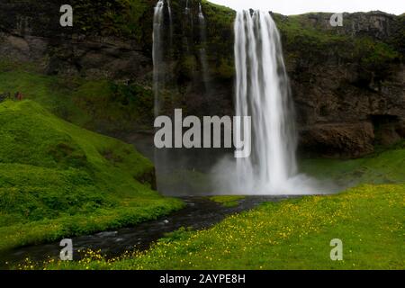 Il Seljalandsfoss si trova nella regione meridionale in Islanda e la cascata scende a 60 m ed è parte del fiume Seljalands che ha il suo o. Foto Stock