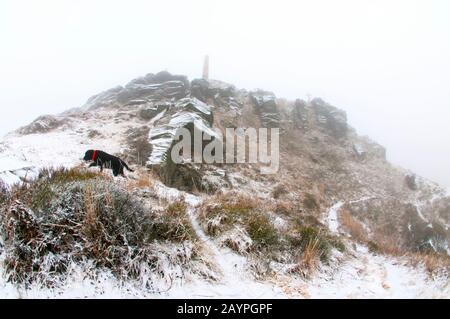 Cane Labrador in inverno sulla cima della montagna Foto Stock