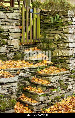 Foglie autunnali cadute su vecchi gradini di muro a secco che conducono al cancello di legno, Town End, Troutbeck, Cumbria, Regno Unito Foto Stock