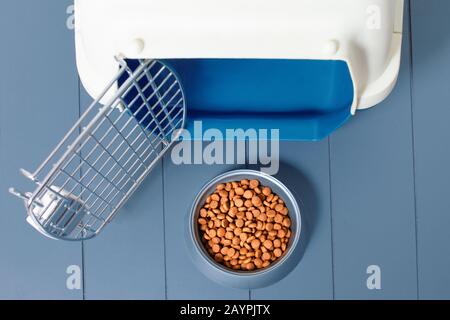 Porta-alimenti e porta-alimenti in plastica per cani e gatti. Dieta e nutrizione adeguata del concetto degli animali domestici Foto Stock