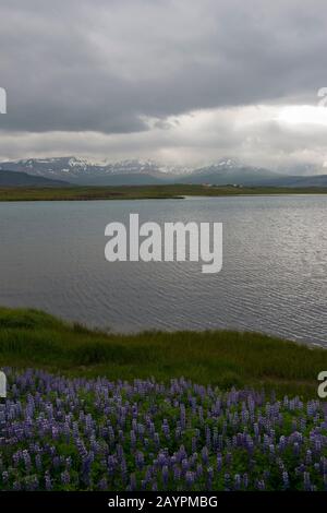 Vista del Borgarfjodur con una fattoria e montagne sotto la pioggia vicino Hvanneyri in Islanda occidentale. Foto Stock