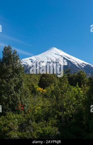 Vista dalla base del vulcano Osorno della neve e del ghiacciaio del vulcano Osorno che è uno stratovulcano nel Cile meridionale vicino a Puerto Varas e Puerto Foto Stock