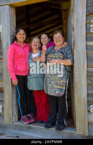 Donne che si affaccia da una porta su una fattoria nel villaggio di Pargua nel Distretto dei Laghi del Cile. Foto Stock