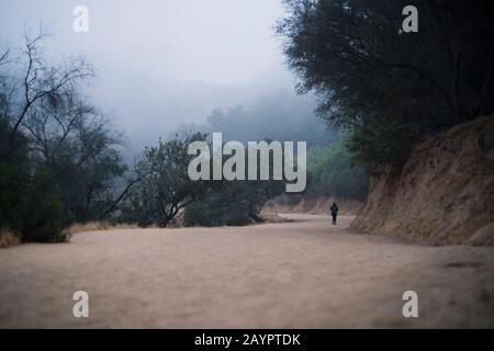 Percorso escursionistico Griffith Park a Los Angeles, California. Foto Stock