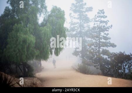 Percorso escursionistico Griffith Park a Los Angeles, California. Foto Stock