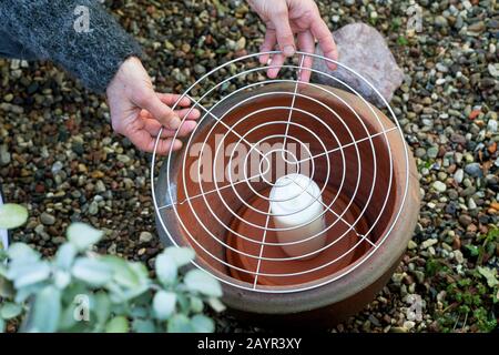 Mangiatoia senza gelo, in vaso di fiori, piattino, candela grave, griglia di raffreddamento e ciotola ignifuga, Germania Foto Stock