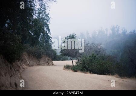 Percorso escursionistico Griffith Park a Los Angeles, California. Foto Stock