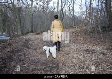 Donna cammina con il suo compagno canino lungo un sentiero durante l'inverno a Prospect Park, Brooklyn, New York. Foto Stock
