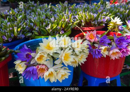 Waterlilies per le offerte sono in vendita di fronte alla Pagoda di Kuthodaw in Mandalay Hill, Mandalay, Myanmar. Foto Stock