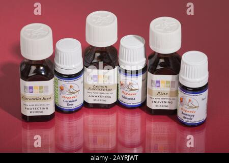 Raggruppamento di sei diverse varietà di oli vegetali (citronella Java, geranio Rose, Lemon Eucalipto, Palmarosa, Pino, Rosemary Cineole). Foto Stock