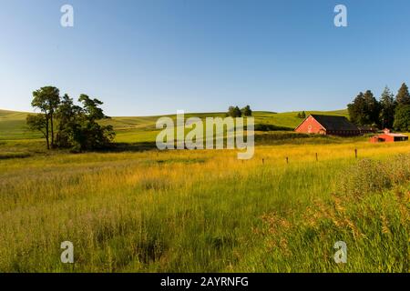 Vista su un'azienda agricola con granai rossi vicino al Pullman nella Whitman County di Palouse, nello stato di Washington, Stati Uniti. Foto Stock