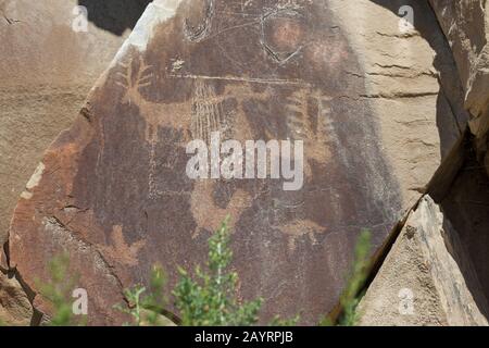 Antichi petroglifi di animali e un uomo come figura sono scolpiti in pietra arenaria insieme ad alcuni graffiti più moderni al Legend Rock state Petrogl Foto Stock
