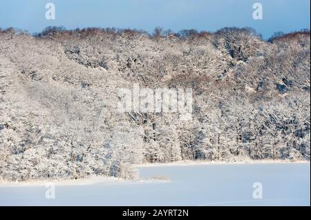 Vista del lago ghiacciato Abashiriko e foresta coperta di neve vicino Abashiri, una città sull'isola di Hokkaido, Giappone. Foto Stock