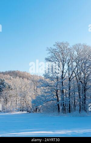 Vista del lago ghiacciato Abashiriko e foresta coperta di neve vicino Abashiri, una città sull'isola di Hokkaido, Giappone. Foto Stock