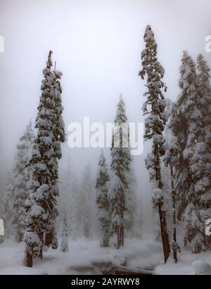 WA17431-00...WASHINGTON - giorno invernale nella natura selvaggia dei laghi alpini, Mount Baker Snoqualmie Wilderness. Foto Stock