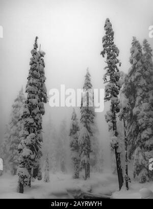 WA17431-00-BW...WASHINGTON - giorno invernale nella natura selvaggia dei laghi alpini, Mount Baker Snoqualmie Wilderness. Foto Stock
