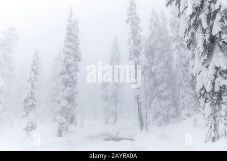 WA17432-00....WASHINGTON - Giornata invernale nella natura selvaggia dei laghi alpini, Monte Baker Snoqualmie Wilderness. Foto Stock