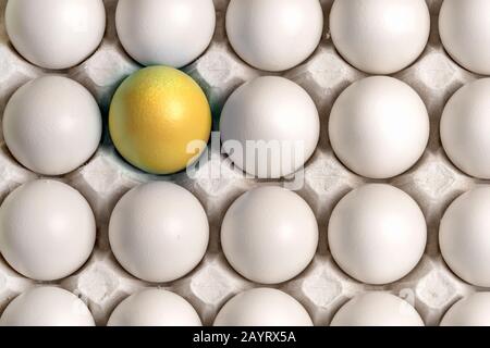 Identiche uova bianche in una scatola e un uovo di Pasqua giallo oro spiccano dal fondo generale. Vista dall'alto, primo piano. Leader o loner in una squadra, sym Foto Stock