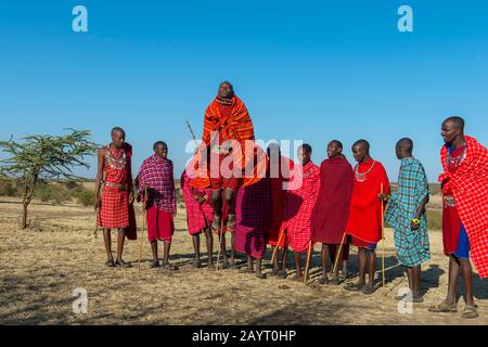 Giovani Maasai che eseguono una tradizionale danza jumping nel Masai Mara in Kenya. Foto Stock