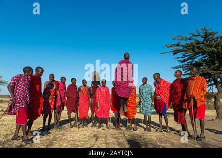 Giovani Maasai che eseguono una tradizionale danza jumping nel Masai Mara in Kenya. Foto Stock