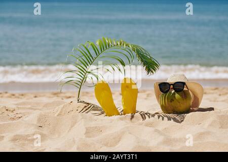 Infradito sotto foglie di palma e cocco vestito da occhiali da sole e cappello di paglia Foto Stock