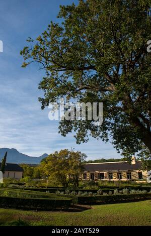 Il giardino di Vergelegen, una storica tenuta vinicola nel Somerset West, nella provincia occidentale del Capo del Sud Africa vicino a Città del Capo. Foto Stock