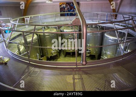 Interno della cantina Domaine des Mourchon vicino al borgo medievale di Seguret nel dipartimento Vaucluse della Provenza-Alpi-Côte Azzurra regione i Foto Stock